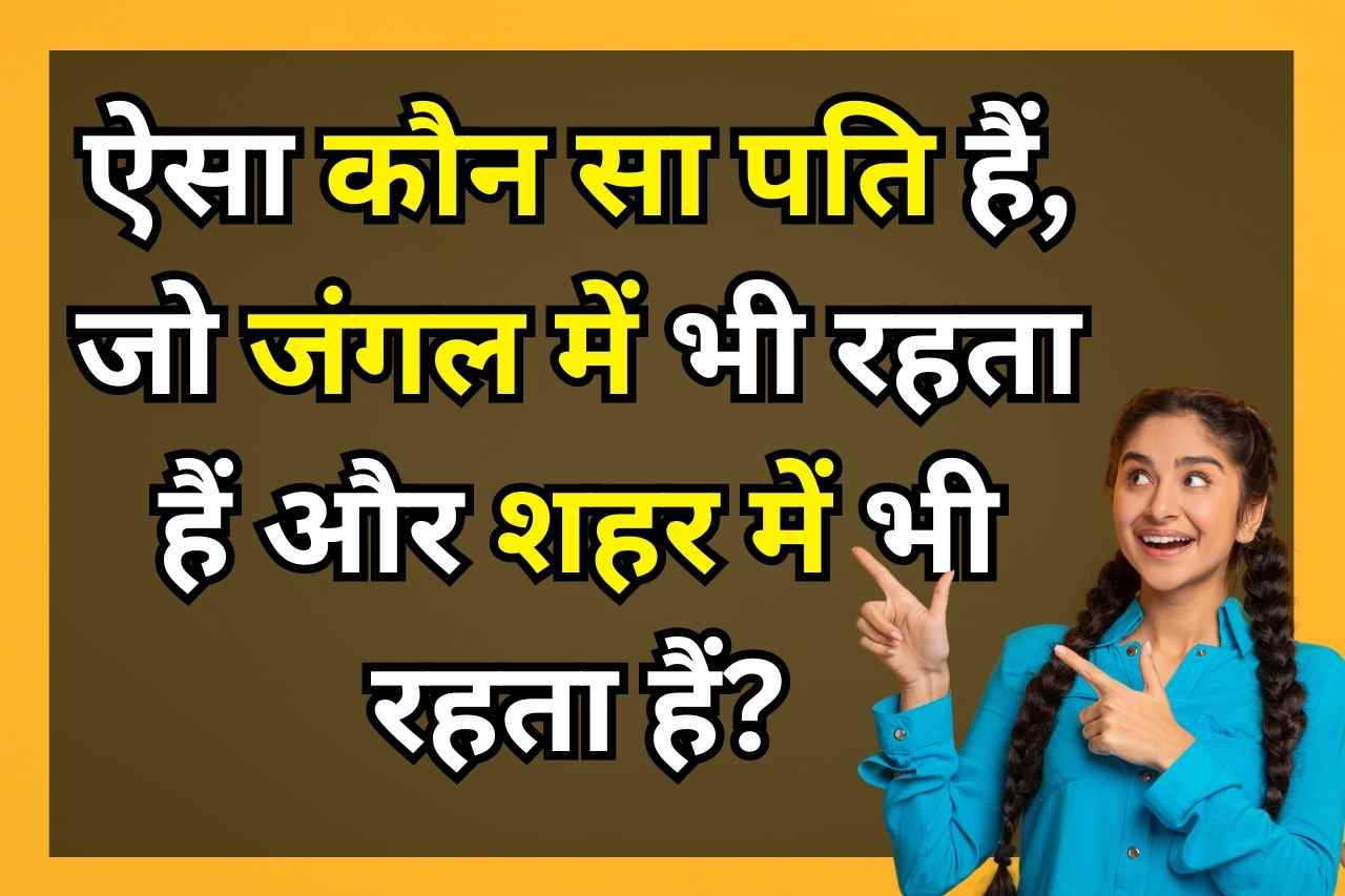 Interesting GK Questions : बताओ ऐसा कौन सा पति हैं, जो जंगल में भी रहता हैं और शहर में भी रहता हैं?